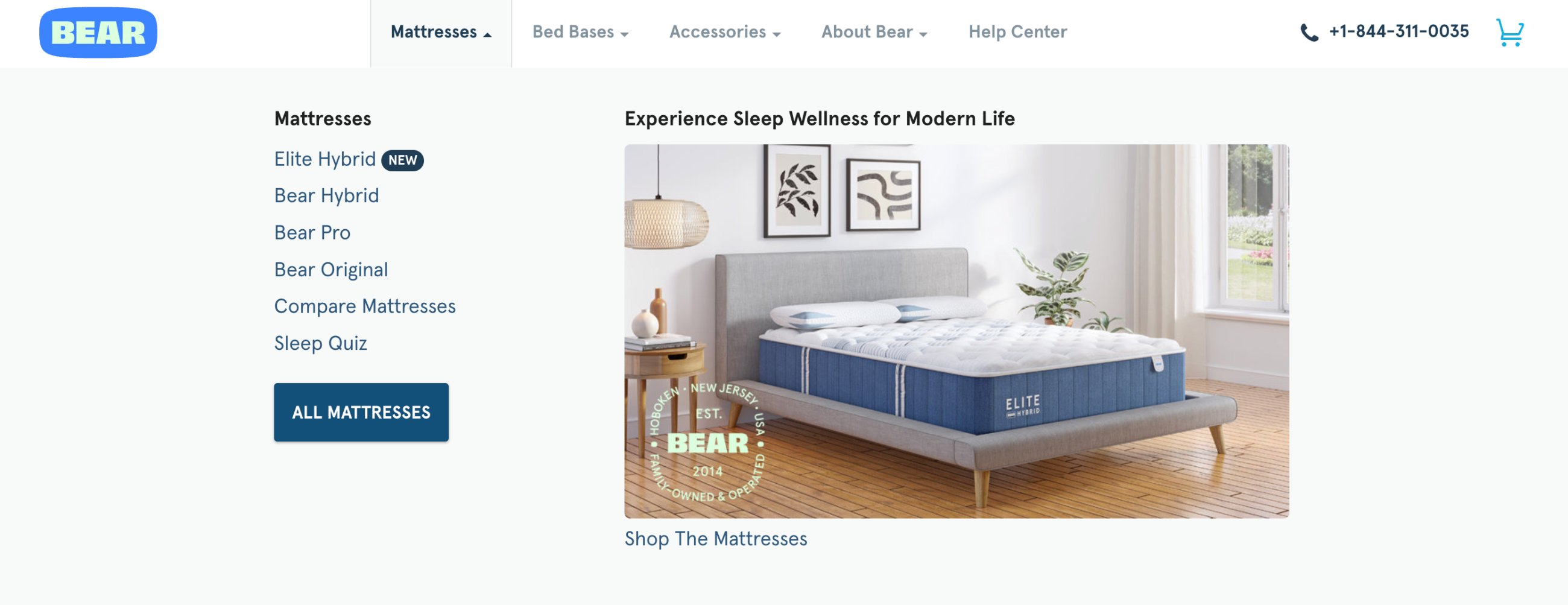 New Bear navigation, expanded for the growing catalog with photos and a showcase area